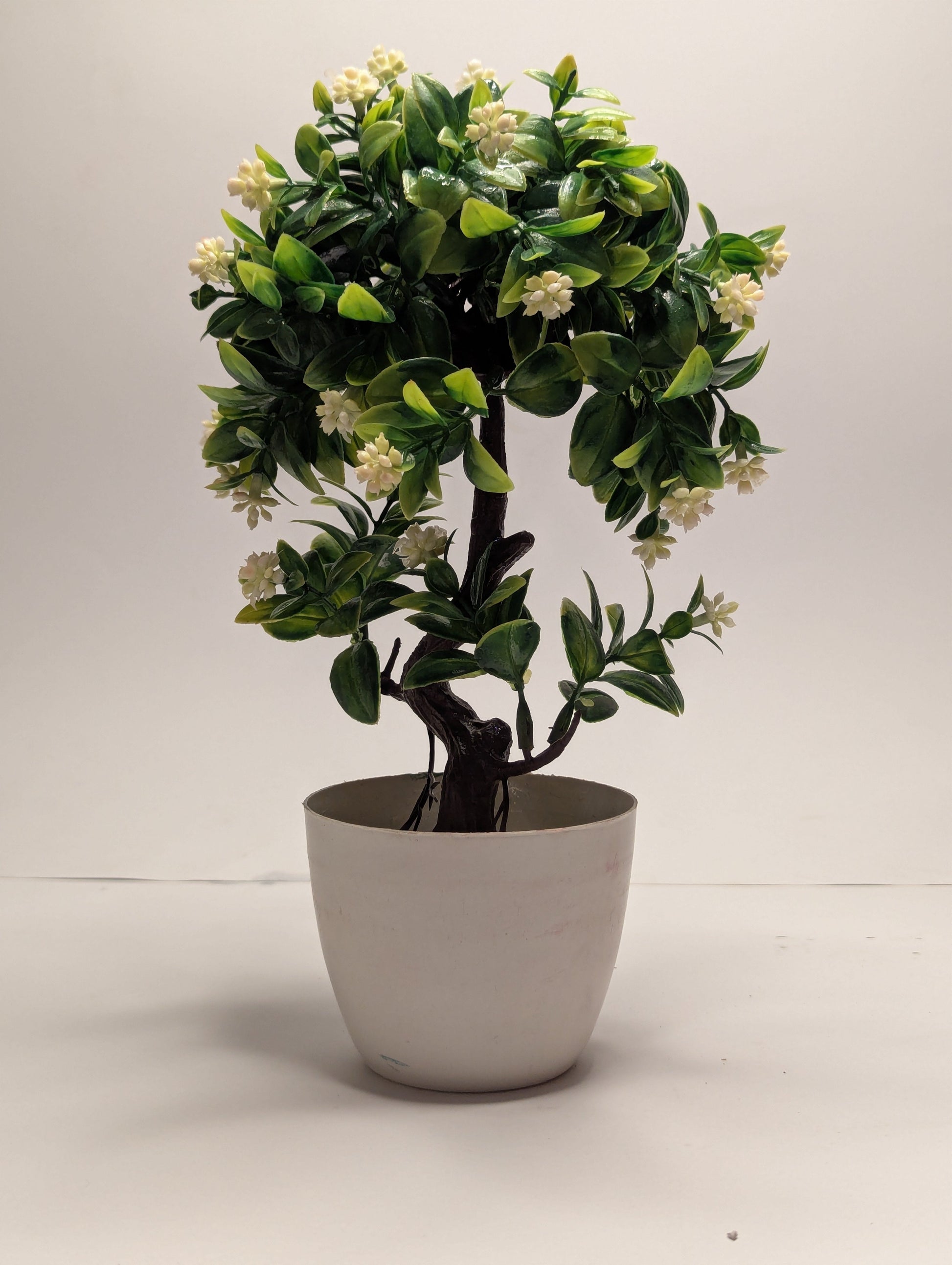 Green Mini Plant DECORA 21