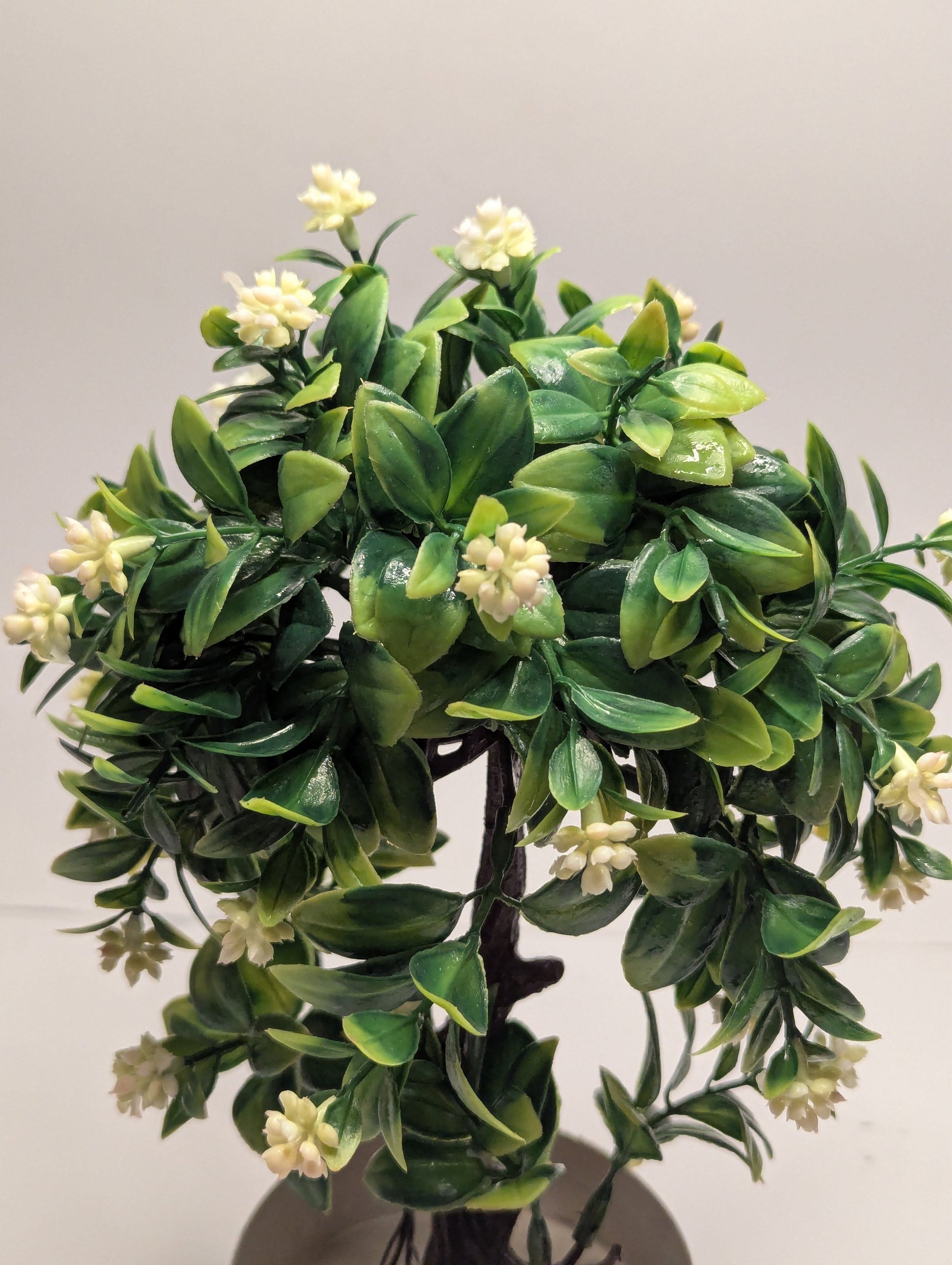 Green Mini Plant DECORA 21
