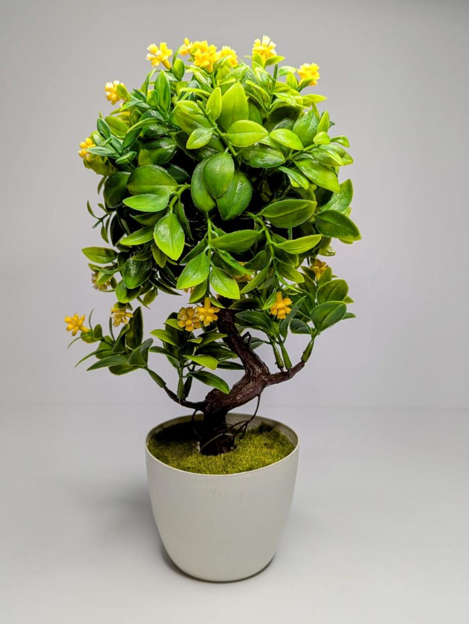mini plants DECORA 21 