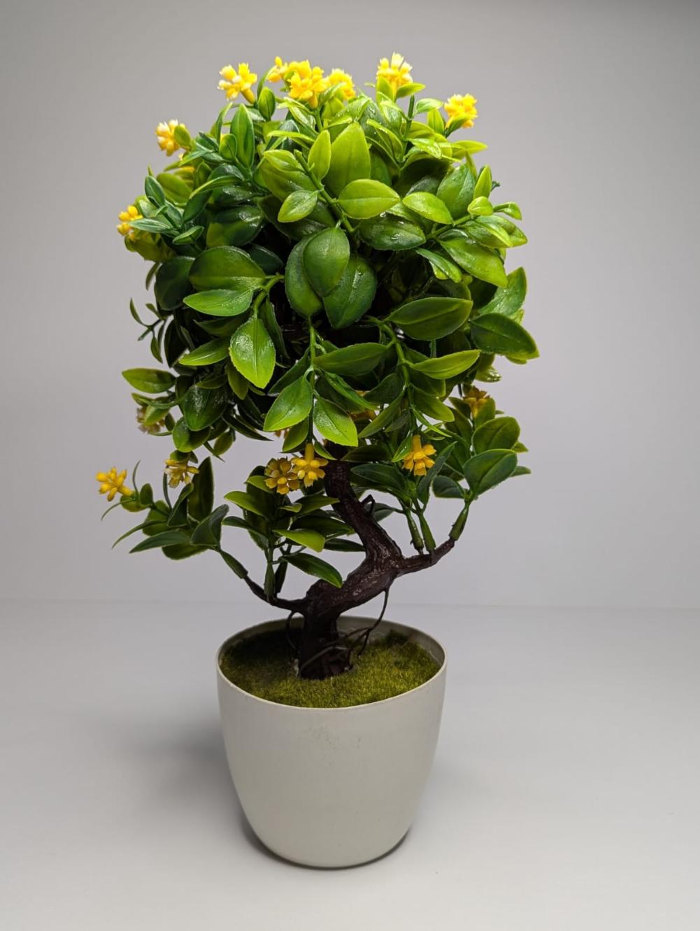 mini plants DECORA 21 