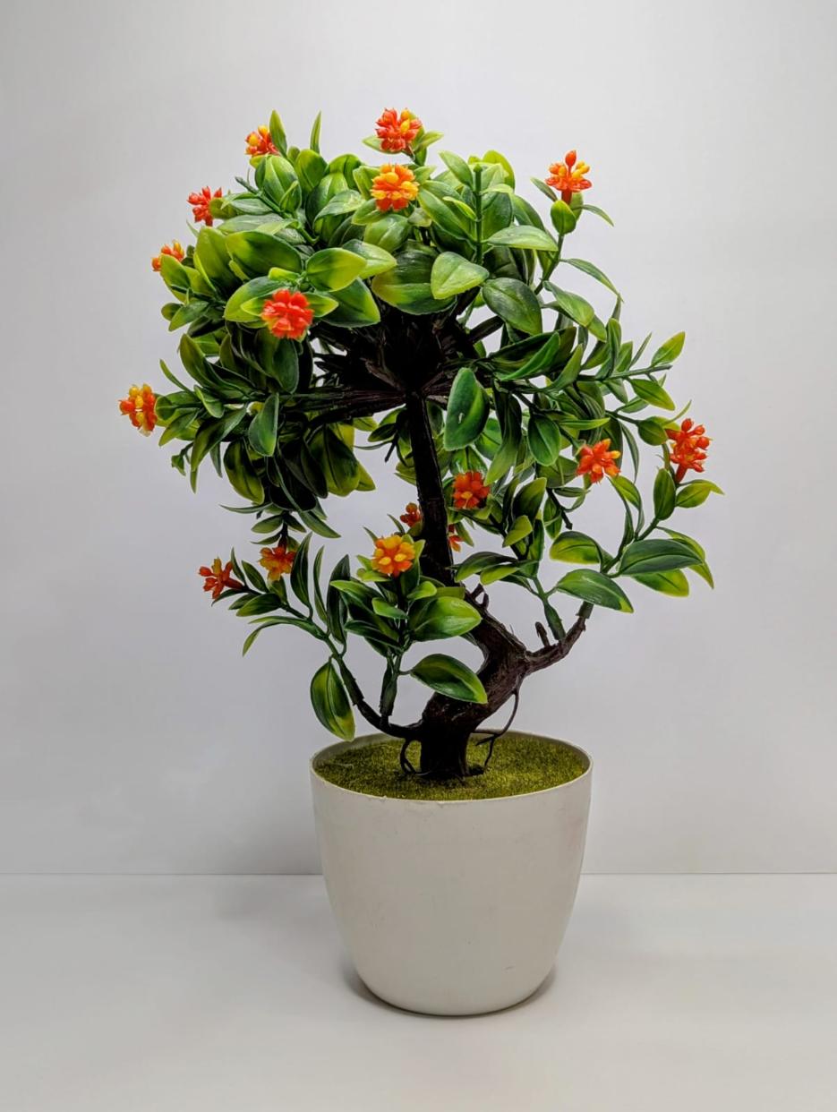 mini plants DECORA 21 