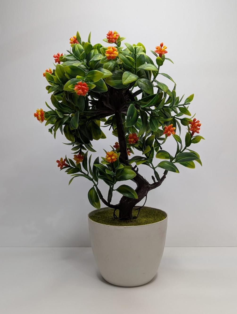 mini plants DECORA 21 