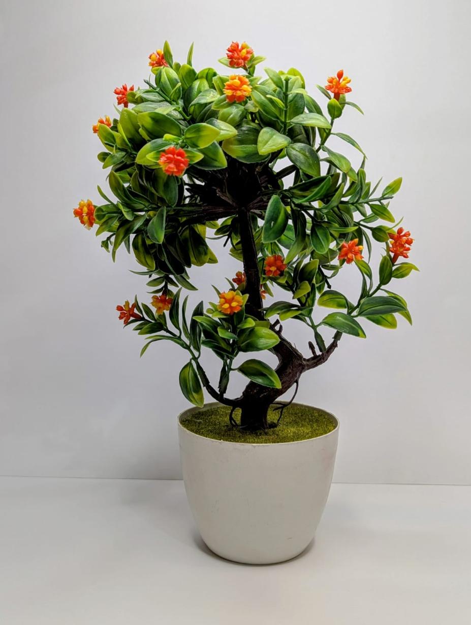 mini plants DECORA 21 