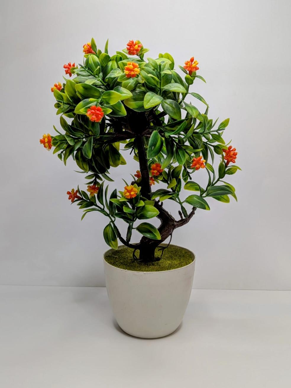 mini plants DECORA 21 
