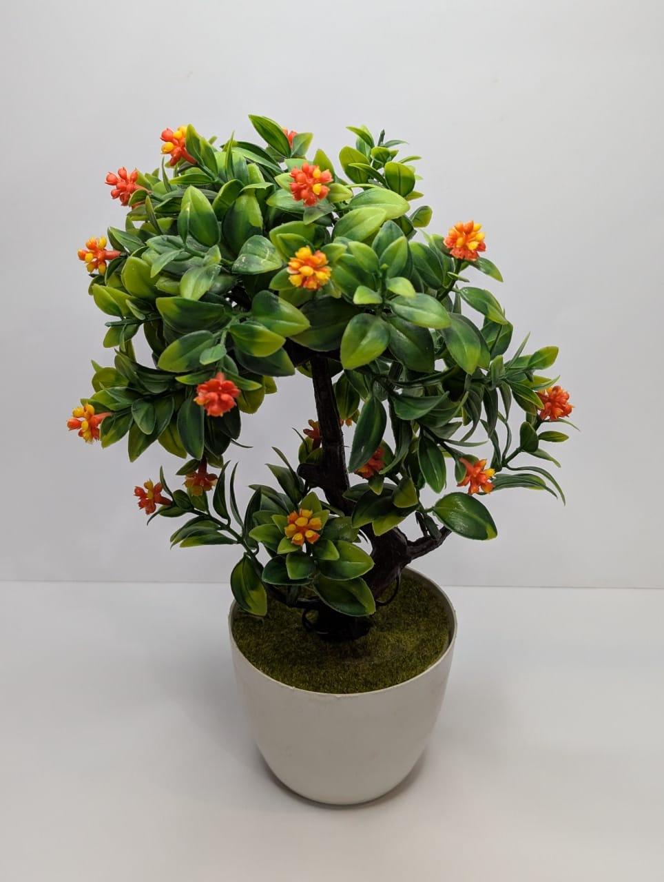 mini plants DECORA 21 