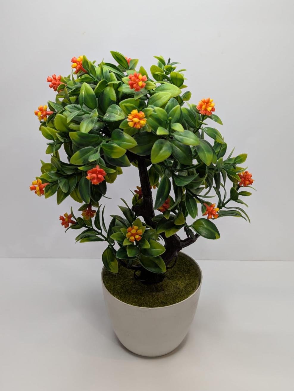 Orange Mini Plant DECORA 21 