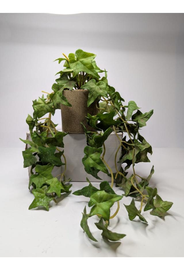 plant02 DECORA 21 