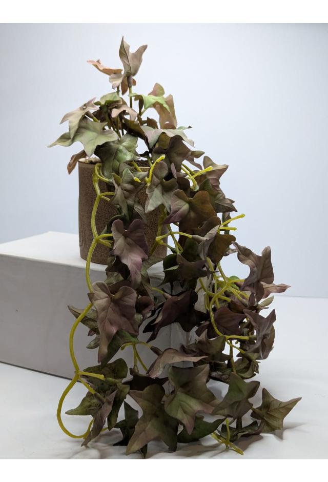 plants01 DECORA 21 