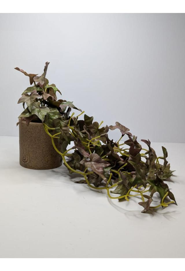 plants01 DECORA 21 