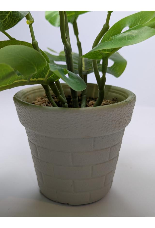plant03 DECORA 21 