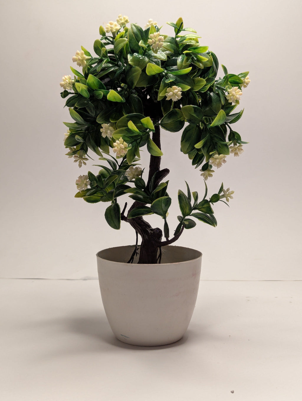 Green Mini Plant DECORA 21 