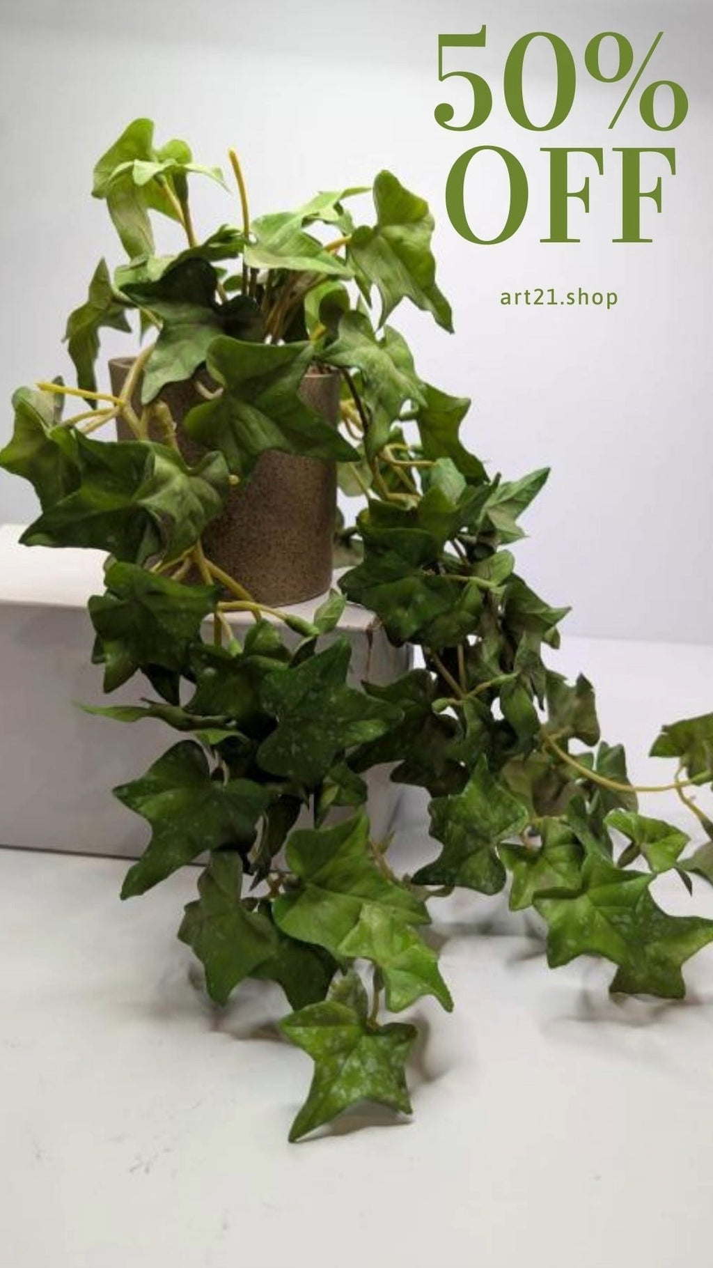 plant02 DECORA 21 