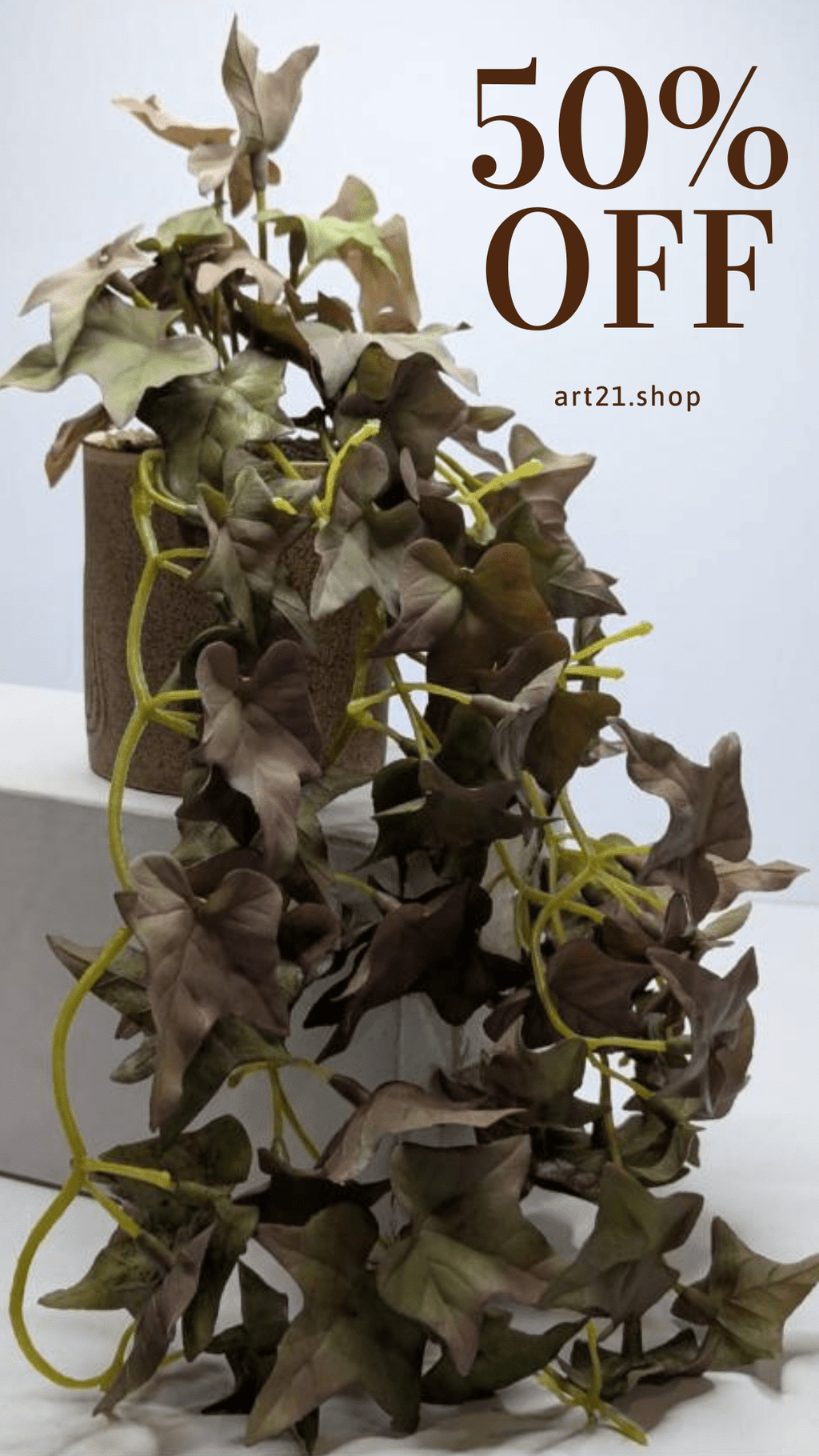 plants01 DECORA 21 